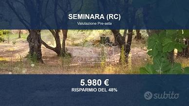 Immobile in asta di 6160 m² a Seminara