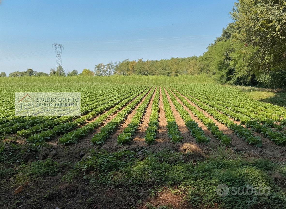 Terreno agricolo di mq. 4520 ca - Altro