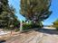 Immagine 18