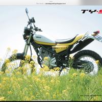 Yamaha Tricker XG250 Leggi bene