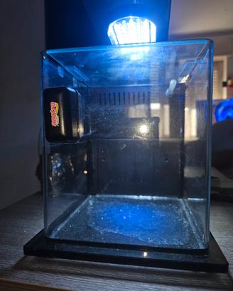   mini acquario 