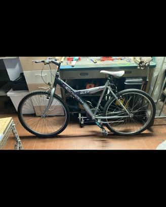 Bicicletta