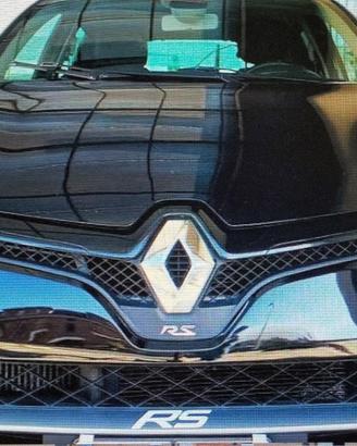Clio 1.6 RS 220 EDC Trophy 2015 Lavori certificati