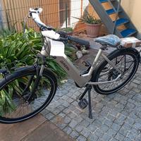e-bike 