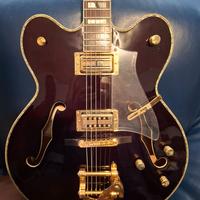 chitarra PEERLEES TONEMASTER CUSTOM