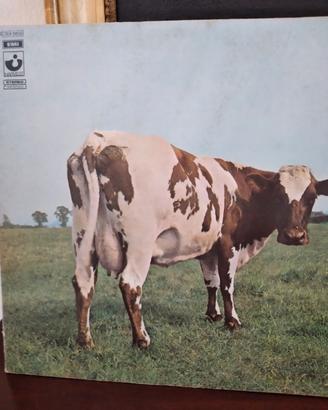 lp vinile pink floyd 