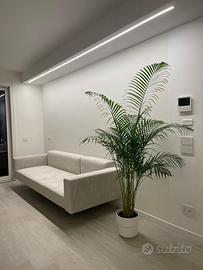 Quadrilocale A3 con giardino angolare