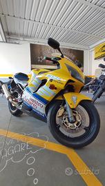 Honda CBR 600 - 2001 Repl. Valentino Rossi