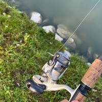 Mulinello daiwa 2500
