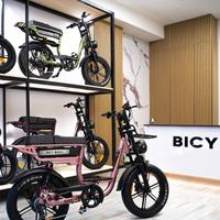 Nuova Bici Elettrica Bicy Elegante Rosa