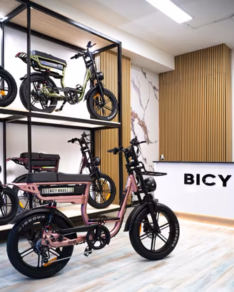 Nuova Bici Elettrica Bicy Elegante Rosa