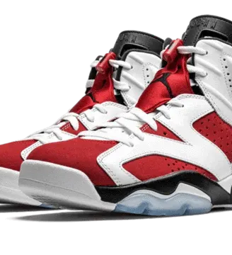 Air Jordan 6 Retro Carmine (2021)
