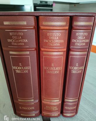 treccani vocabolario neologismi sinonimi e contrar