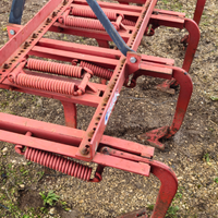 Tiller/Estirpatore a molle