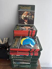 Enciclopedia Gli Animali De Agostini