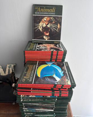 Enciclopedia Gli Animali De Agostini