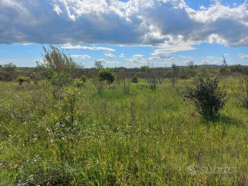 Terreno agricolo con allaccio acqua