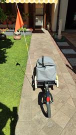 Rimorchio per biciclette 
