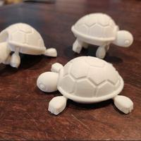 Tartaruga Articolata 3D Print