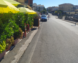 Bar in gestione su strada provinciale