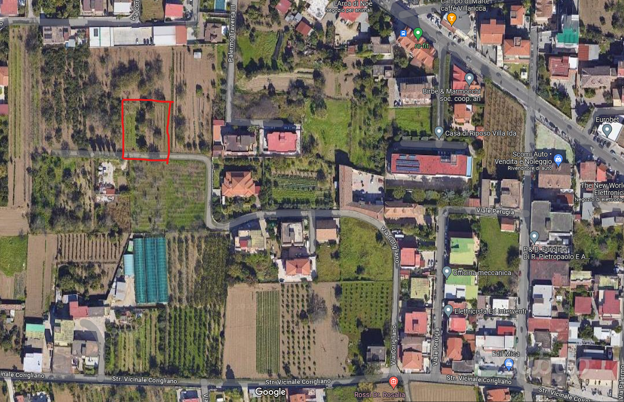 terreno con diversi alberi da frutta - Vista 2