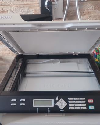 Stampante RICOH  Laser SP204 SF