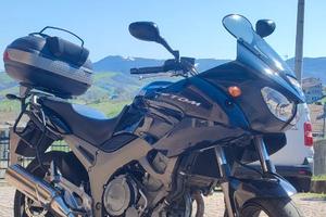 Yamaha TDM 900 (2002) - Tagliandata,  59.500 km