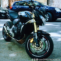 Honda hornet