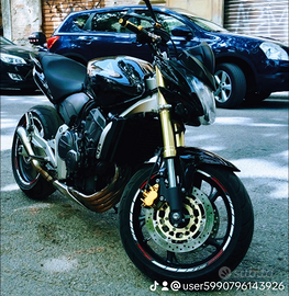 Honda hornet