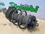 Immagine 7