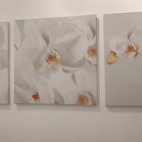 Set 3 quadri Ikea PJÄTTERYD