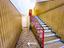 Immagine 11