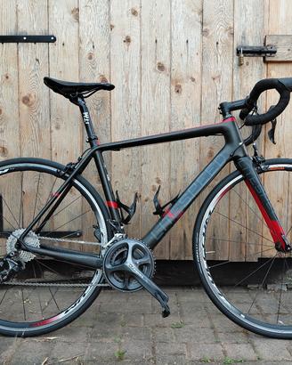 bici Litespeed  carbonio