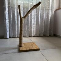 Accessori per Pappagalli