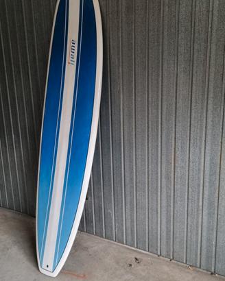 tavola surfboard 7.2 resina