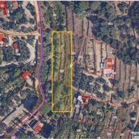 Vigneto monte Argentario