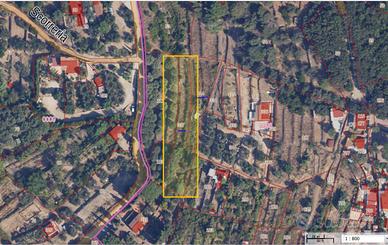 Vigneto monte Argentario