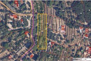 Vigneto monte Argentario