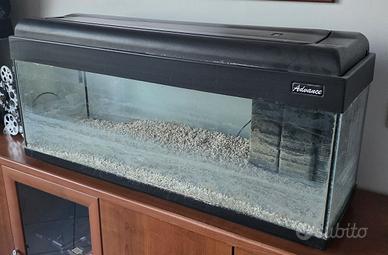 Acquario 90L circa completo di pompa e filtro con