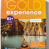 Gold Experience