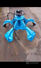 cercasï polipo ragno  