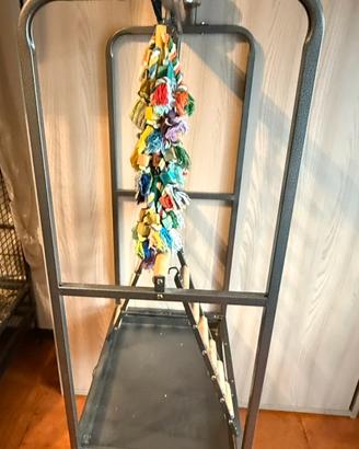 Trespolo x Papagalli