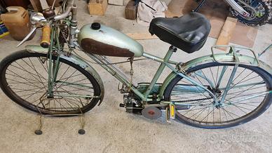 mosquito bici maino