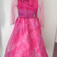 Vestito da carnevale principessa