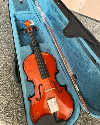 Violino