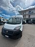fiat-ducato