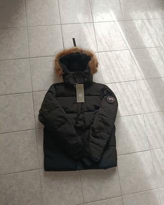 canada goose 