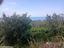 Immagine 18