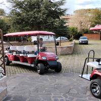 Golf cart elettrici 8 posti – Ideali per tour turi