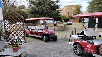 Golf cart elettrici 8 posti – Ideali per tour turi